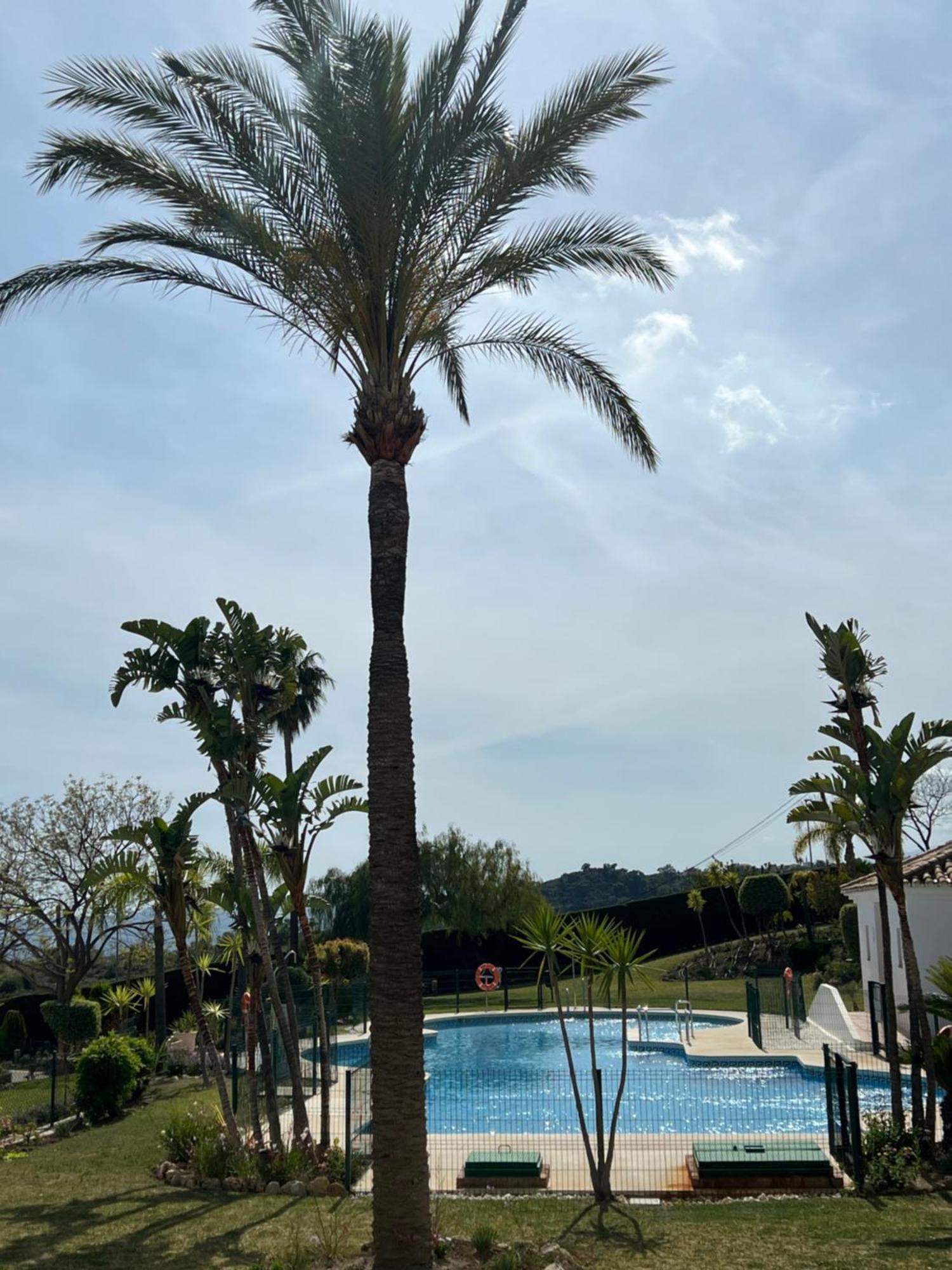 Finca San Antonio Two Bedroom Apartment With Swimming Pool Mijas Bagian luar foto